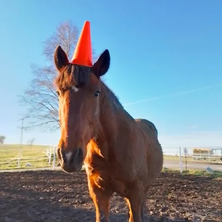 Laufenten Loft - Gutshof Dobschuetz Bauernhof *
