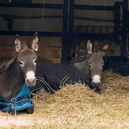 Laufenten Loft - Gutshof Dobschuetz Bauernhof شقة Nossen