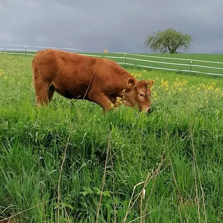 Laufenten Loft - Gutshof Dobschuetz Bauernhof * Nossen