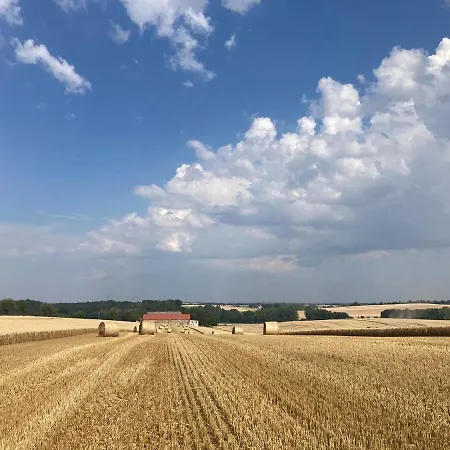 Laufenten Loft - Gutshof Dobschuetz Bauernhof