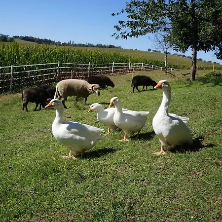 Laufenten Loft - Gutshof Dobschuetz Bauernhof * Nossen