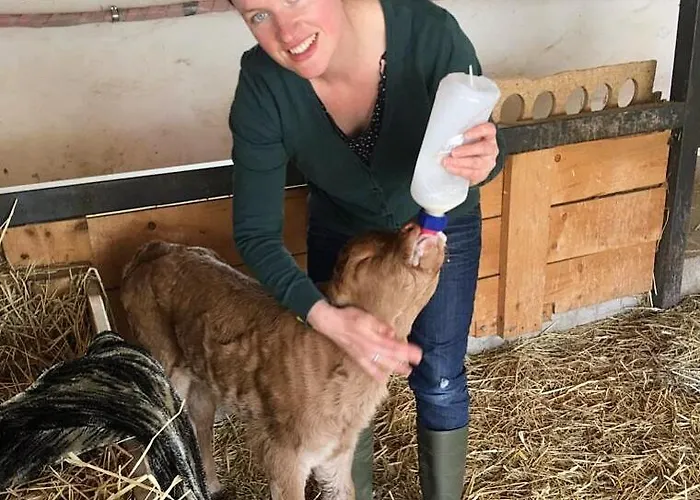 Laufenten Loft - Gutshof Dobschuetz Bauernhof *