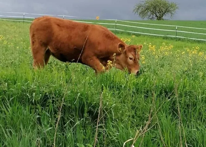 Laufenten Loft - Gutshof Dobschuetz Bauernhof * Nossen