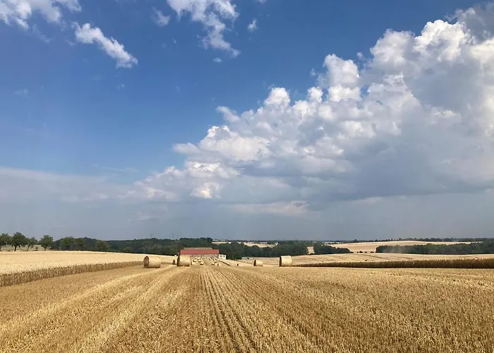 Laufenten Loft - Gutshof Dobschuetz Bauernhof