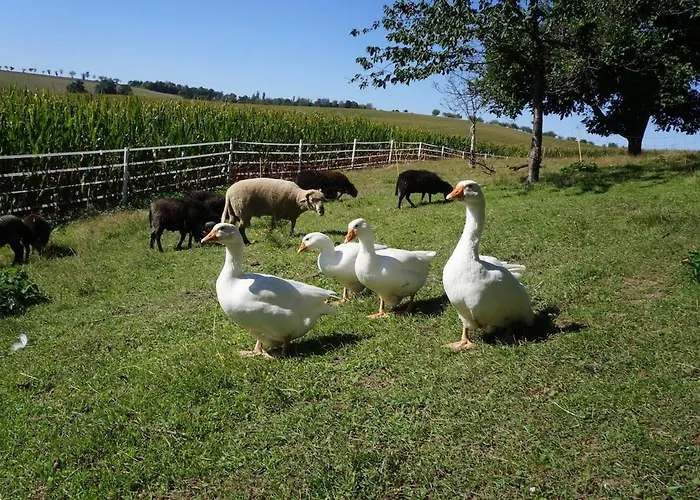 Laufenten Loft - Gutshof Dobschuetz Bauernhof * Nossen