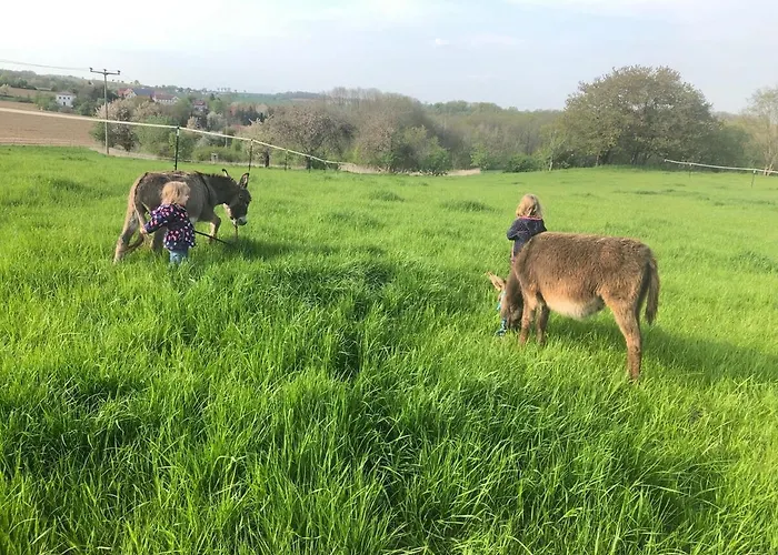 شقة Laufenten Loft - Gutshof Dobschuetz Bauernhof *