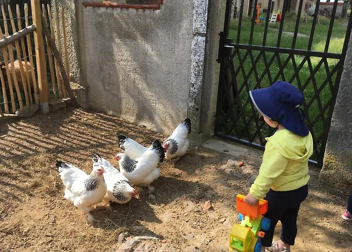 شقة Laufenten Loft - Gutshof Dobschuetz Bauernhof Nossen