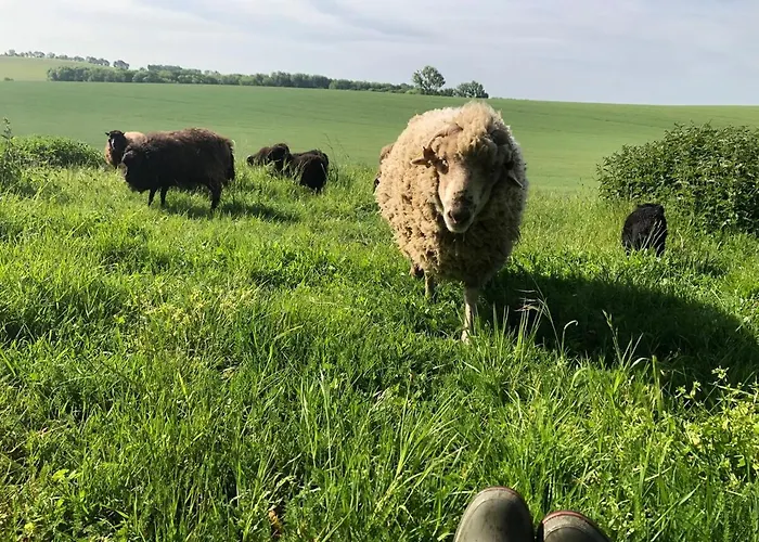 Laufenten Loft - Gutshof Dobschuetz Bauernhof شقة *