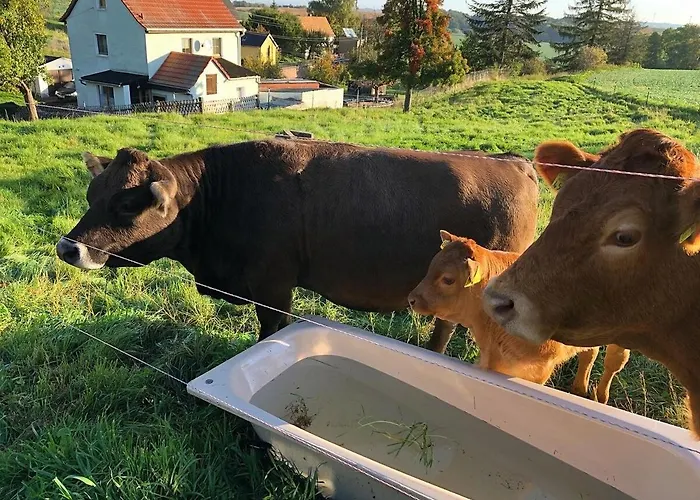 شقة Laufenten Loft - Gutshof Dobschuetz Bauernhof *